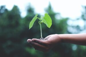 Taking bold steps toward sustainability with initiatives and programs