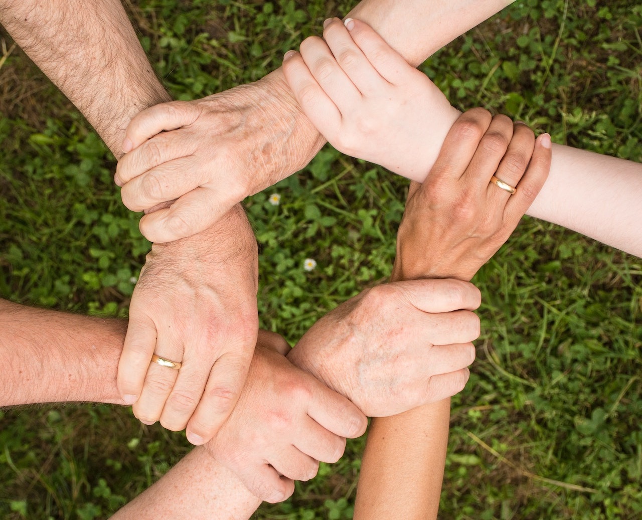 Taking Bold Steps toward Sustainability with Various Initiatives and Programs
