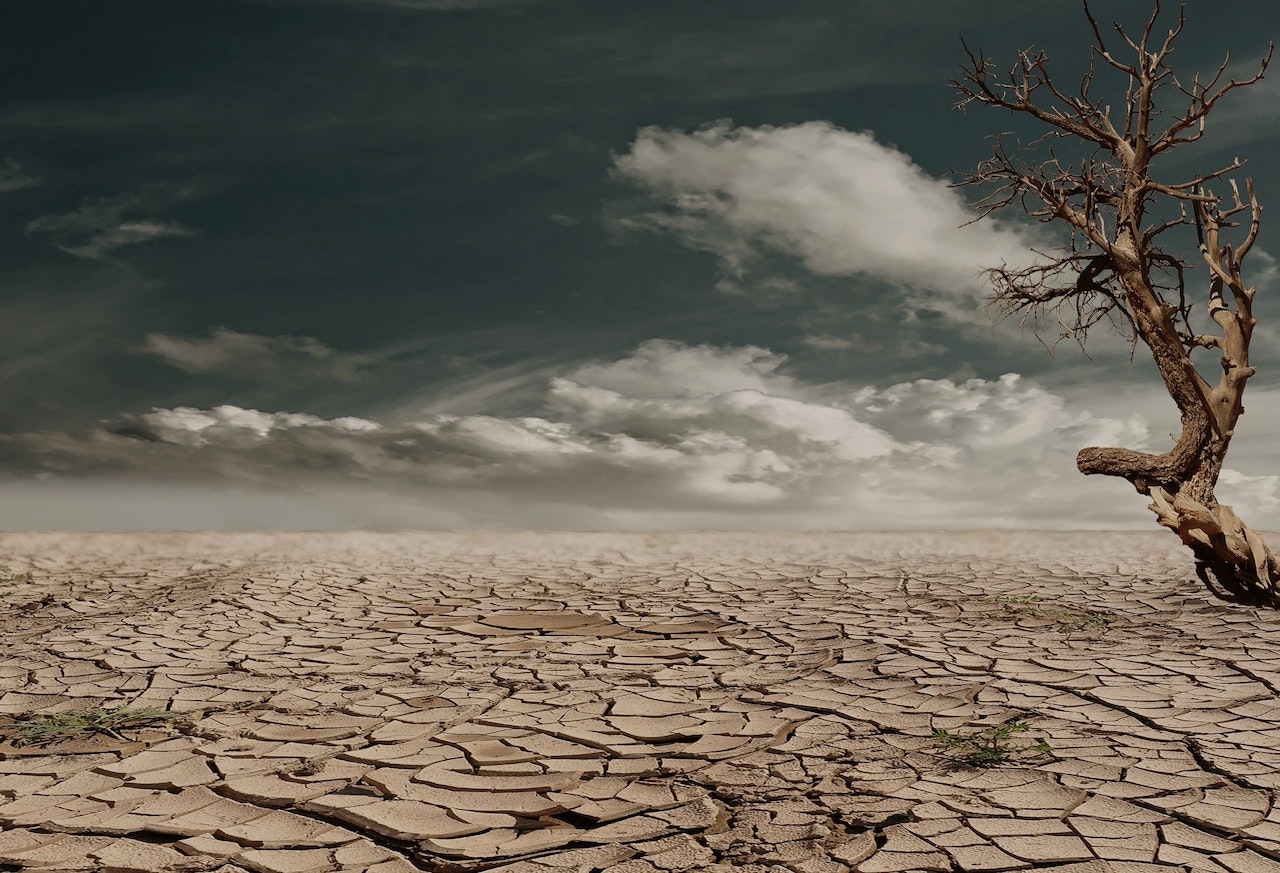 Taking bold steps toward sustainability with various initiatives and programs