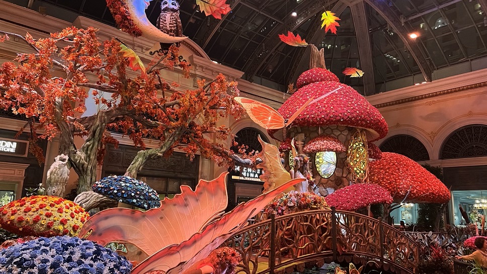 Las Vegas Flower Room
