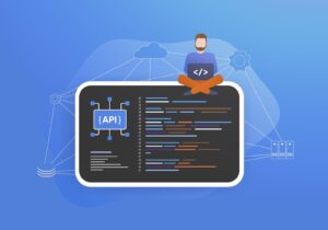 developer, working on a laptop