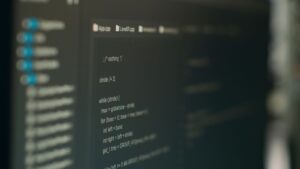software development for peo