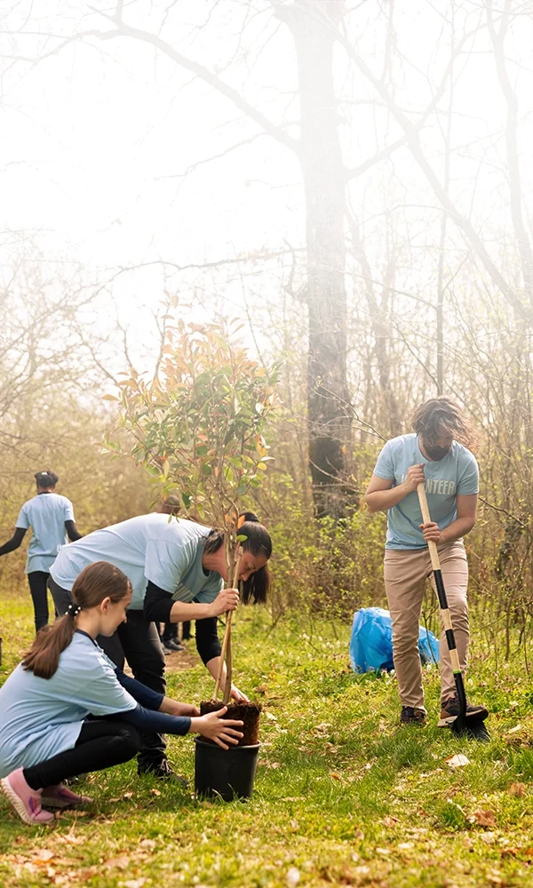 Environmental responsibility