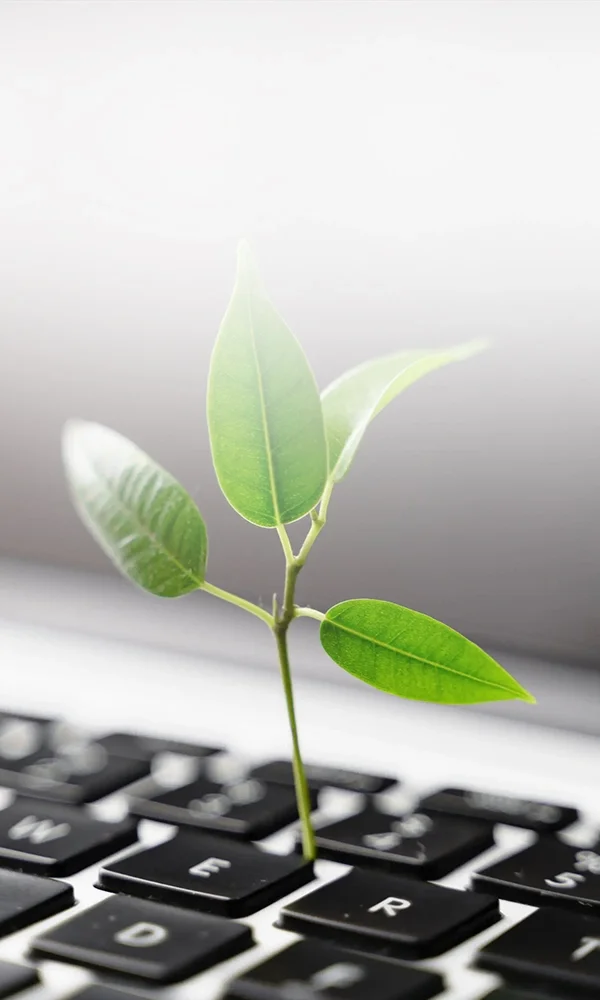 Sustainable technology delivery